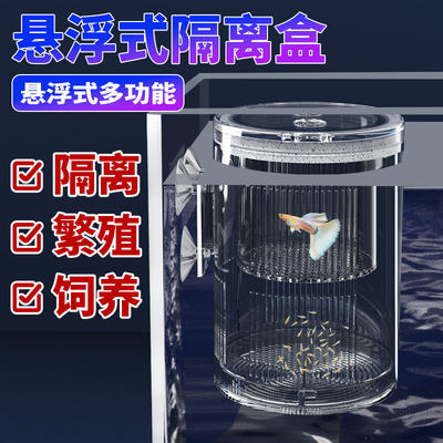 孔雀鱼繁殖隔离盒产卵桶