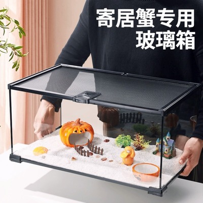 寄居蟹饲养箱沙蟹相守蟹专用玻璃缸生态造景饲养套装养螃蟹桌面缸
