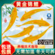 顺丰黄金锦鲤活鱼金鱼活鱼好养耐活冷水鱼鱼苗活体小金鱼观赏鱼