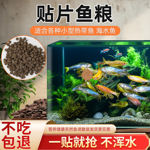 贴片鱼食小型鱼饲料孔雀鱼鱼粮灯鱼斗鱼金鱼热带鱼通用开口丰年虾