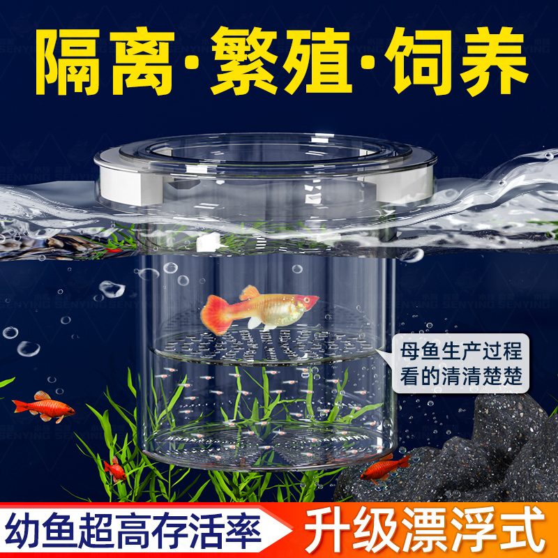 孔雀鱼繁殖盒幼鱼鱼缸隔离斗鱼鱼苗产卵器热带鱼亚克力隔离孵化盒