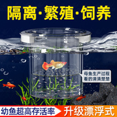 孔雀鱼繁殖盒幼鱼鱼缸隔离斗鱼鱼苗产卵器热带鱼亚克力隔离孵化盒
