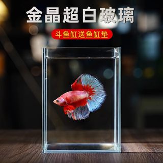 斗鱼专用缸桌面生态鱼缸超白玻璃水族箱客厅家用造景透明小鱼缸