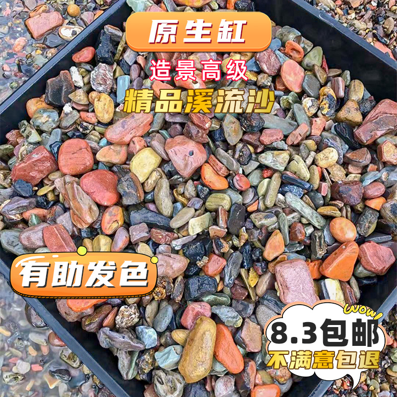 原生缸造景天然溪流底沙雷龙龟鱼缸装饰美大矶砂鹅卵石水草溪流沙