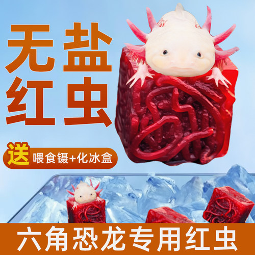 六角恐龙饲料鱼食蝾螈东方龟苗开