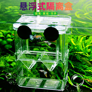 孔雀鱼繁殖盒神器鱼缸隔离盒凤尾幼鱼母鱼产房小鱼苗漂浮孵化盒