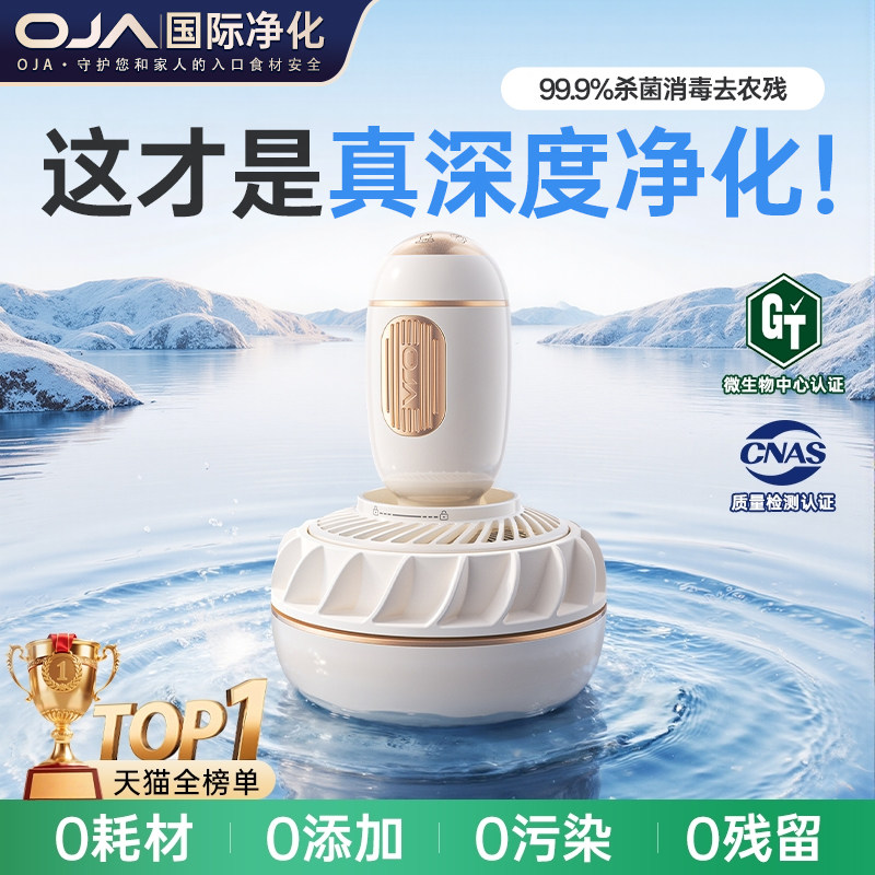 OJA果蔬清洗机食材净化洗蔬菜水果神器全自动家用声波消毒去农残