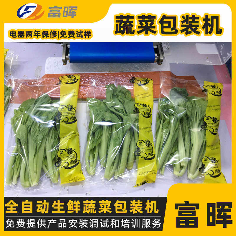 韭菜大葱自动包装机枕式蔬菜包装机 全伺服蔬菜打包机械
