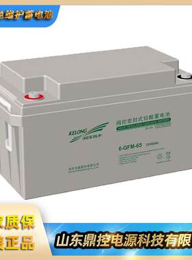 科华HR12电-7护50W倍率蓄电池2V190AHGFM-100铅酸免维UP1S不间断