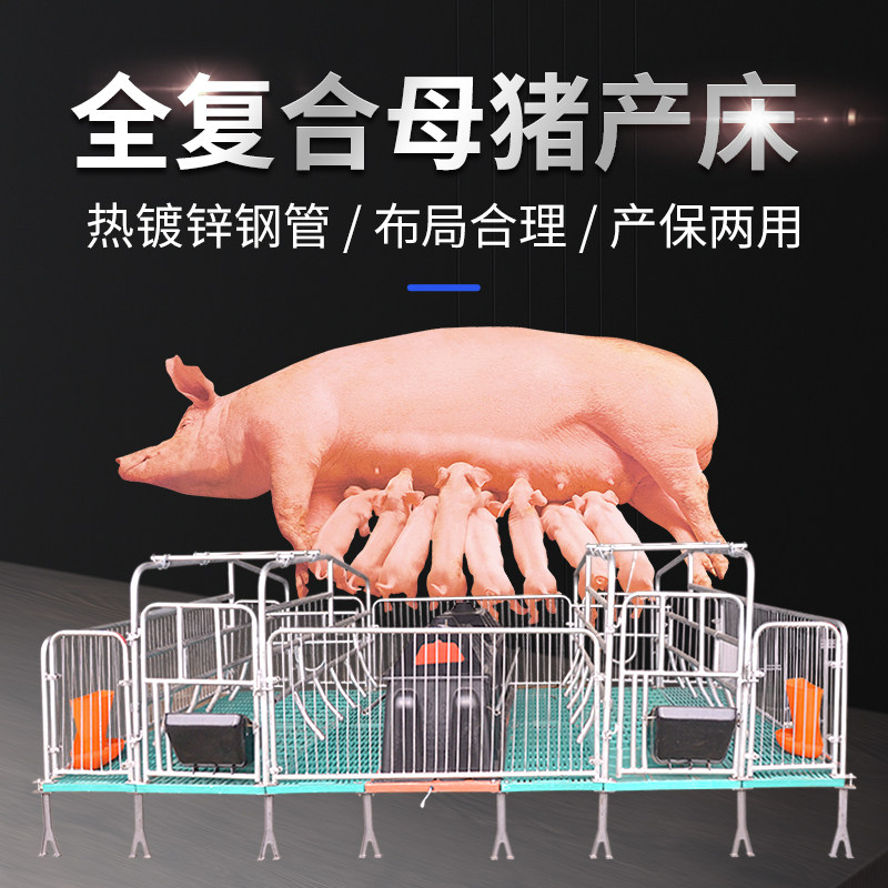 复合保育栏养殖母猪产床