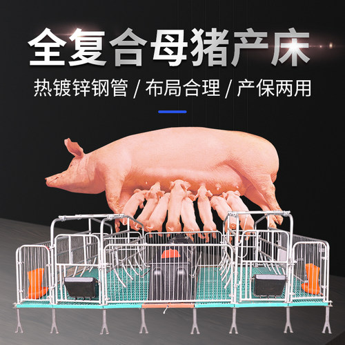 复合保育栏养殖母猪产床