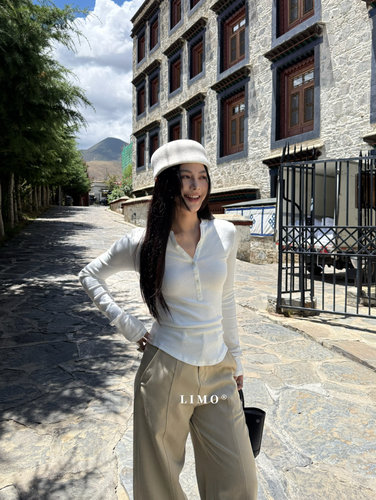 LIMO正品时髦亨利领打底衫女秋 美式复古修身显瘦长袖T恤上衣6317