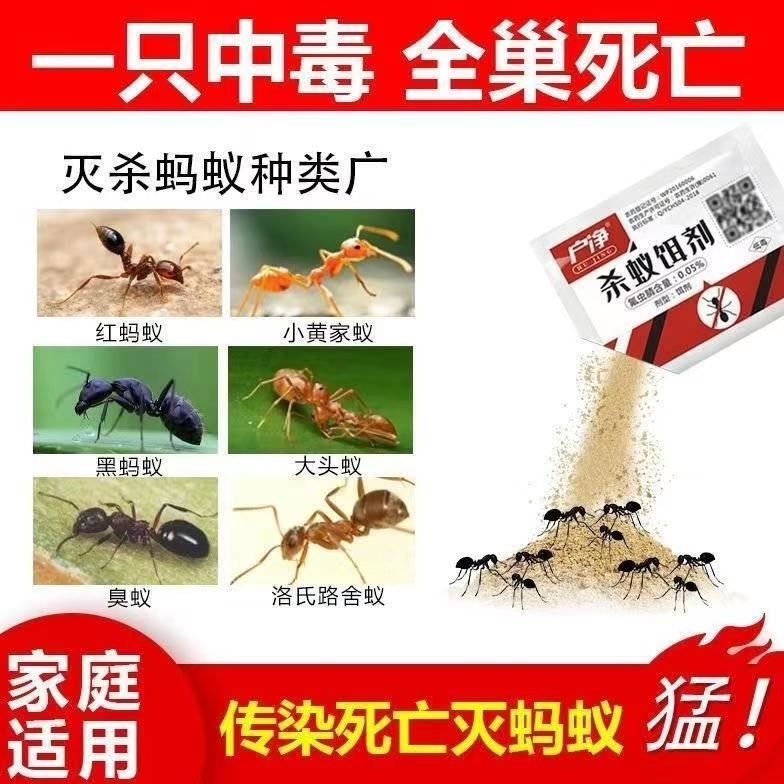户净红火蚁药粉灭蚁饵剂红蚂蚁克星相互传染全窝端室外田园土壤药