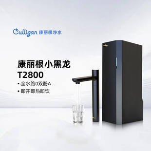 康丽根小黑龙T2800即热家用净水器加热直饮一体机RO反渗透1100G