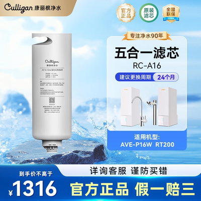 康丽根水麒麟/RT200净水器ro滤芯
