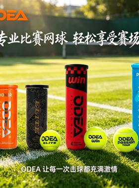 ODEA欧帝尔专业比赛网球Passion HONOR高弹耐打训练用球真空罐装