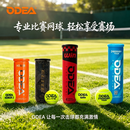 ODEA欧帝尔专业比赛网球Passion HONOR高弹耐打训练用球真空罐装