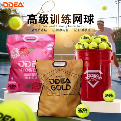 Odear欧帝尔训练网球高弹耐打