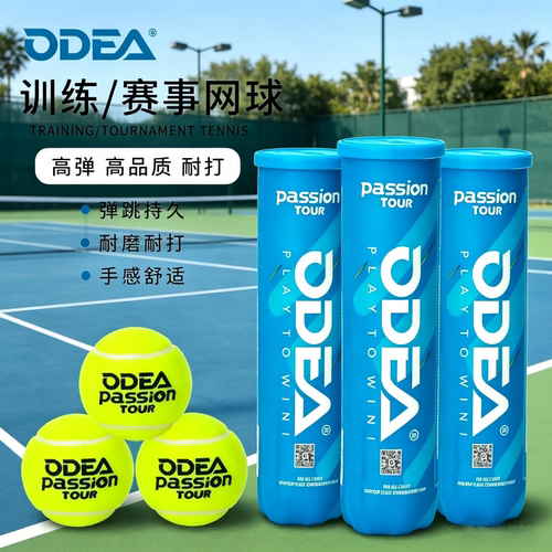 ODEA专业比赛网球Passion Tour高弹耐打训练用球进口羊毛胶罐4粒