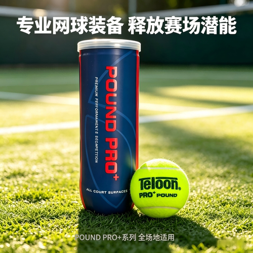 Teloon天龙网球POUND P3 胶罐3粒装高弹跳耐打专业比赛训练网球