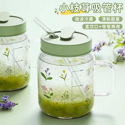 小清新玻璃吸管杯带盖高颜值水杯
