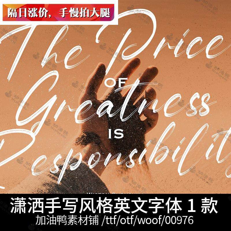 流畅肌理英文手写街头涂鸦书法潇洒签名logo风格ttf字体安装素材