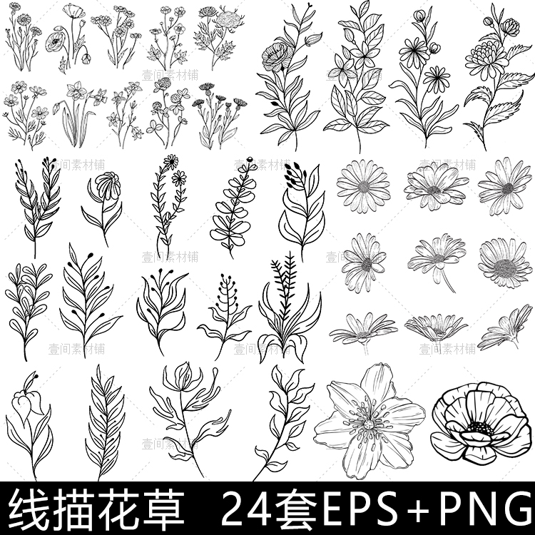 hh97线描线稿简笔画花草白描素描临摹花卉植物图案矢量素材图png