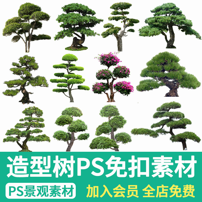 景观造型树造型松ps素材园林效果图后期配景罗汉松树psd免扣植物