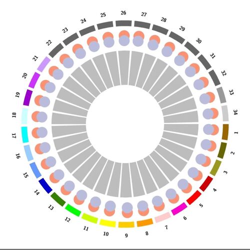科研猫保姆级单细胞测序分析课程RNA scRNA-seq数据分析视频教程