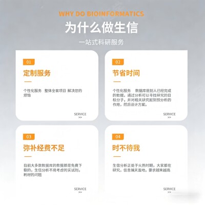 理论计算博士代算，VASP，Gaussian，lammps，gromacs