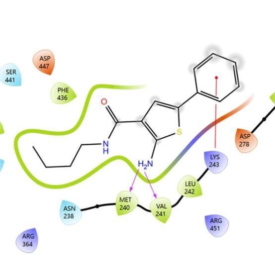 分子对接蛋白对接药物发现药物设计