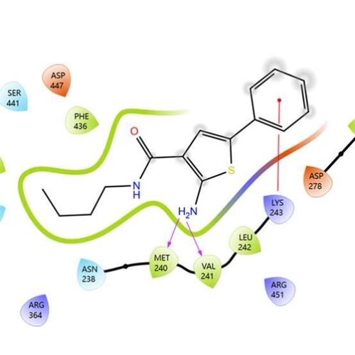 分子对接蛋白对接药物发现药物设计