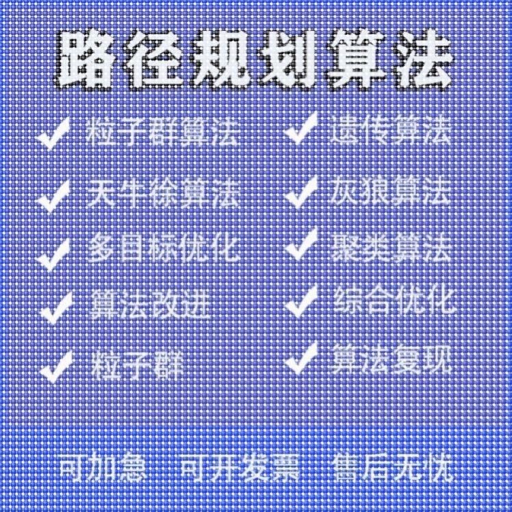 matlab路径规划遗传蚁群粒子群算法代做Python强化学习多目标优化
