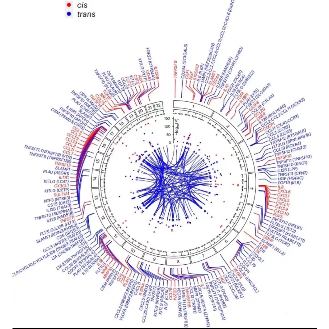 相关性分析/生存分析/预后分析/生物信息学分析/TCGA GEO数据库