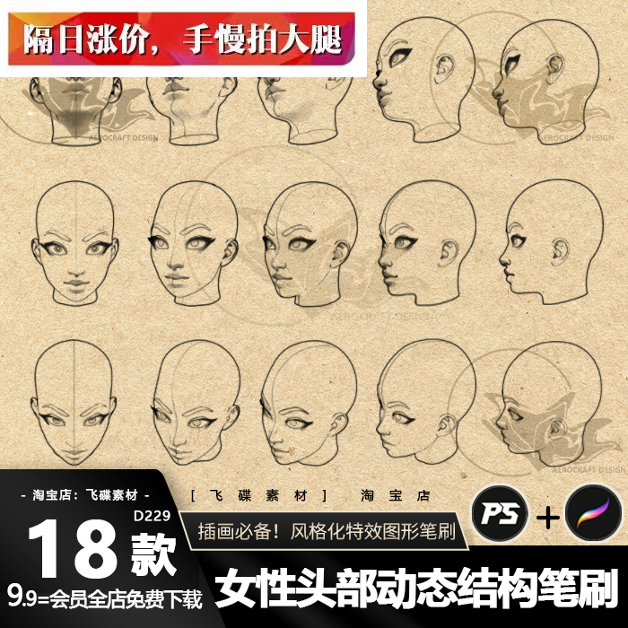 procreate笔刷ps画笔女性人物头像头部动态多视角仰视俯视绘画