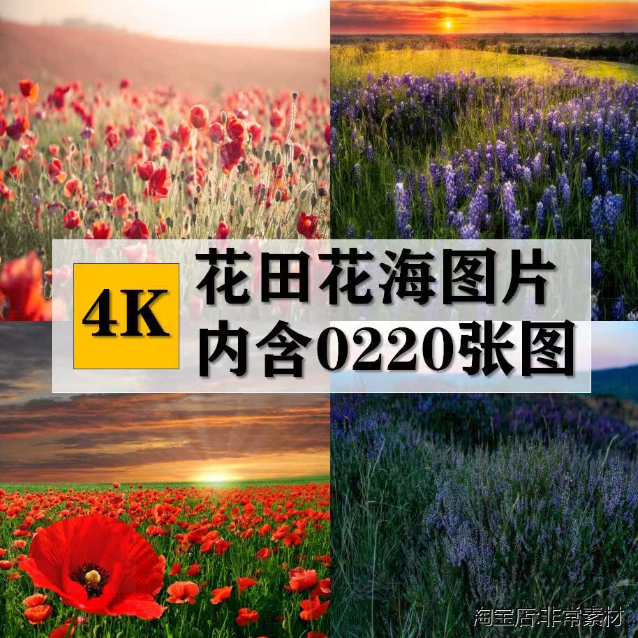 找外语培训去哪儿找_找素材的网站_去哪里找图片素材