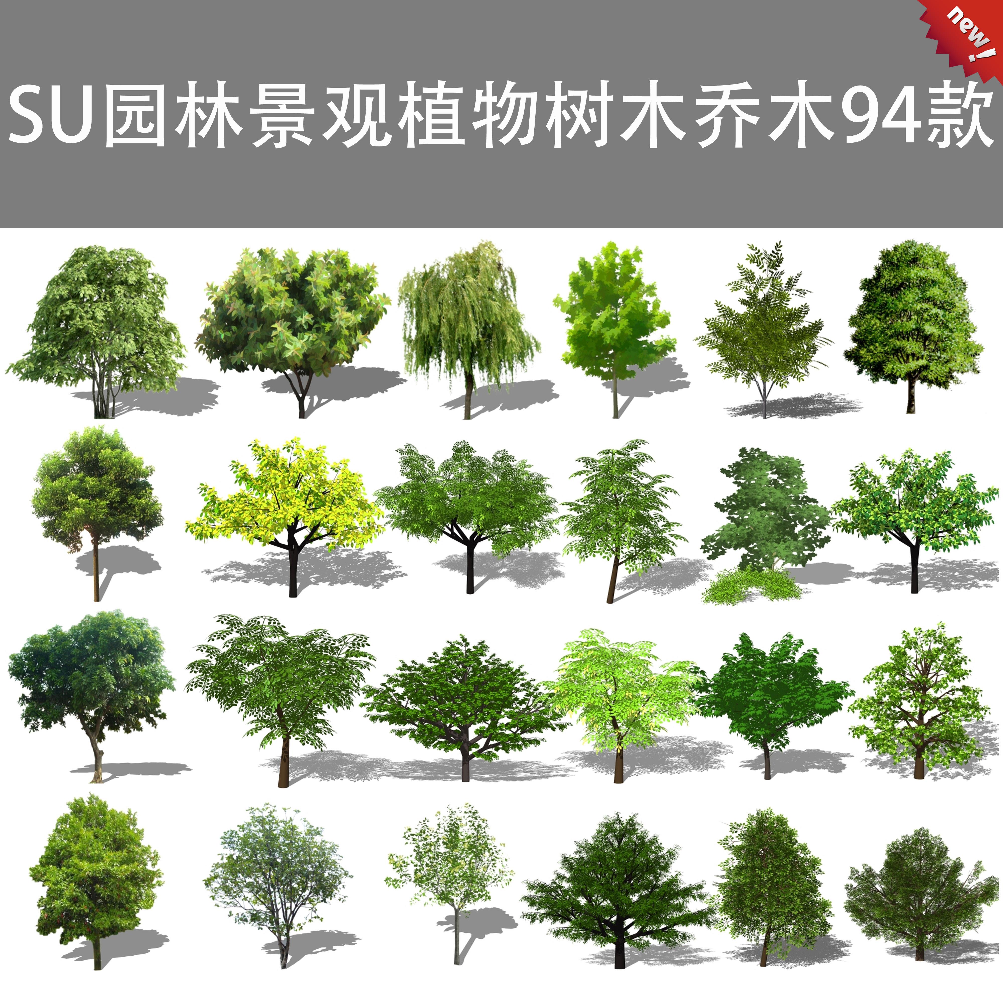 园林景观植物花草树木乔木花卉灌木景观树绿植2D3D草图大师SU模型