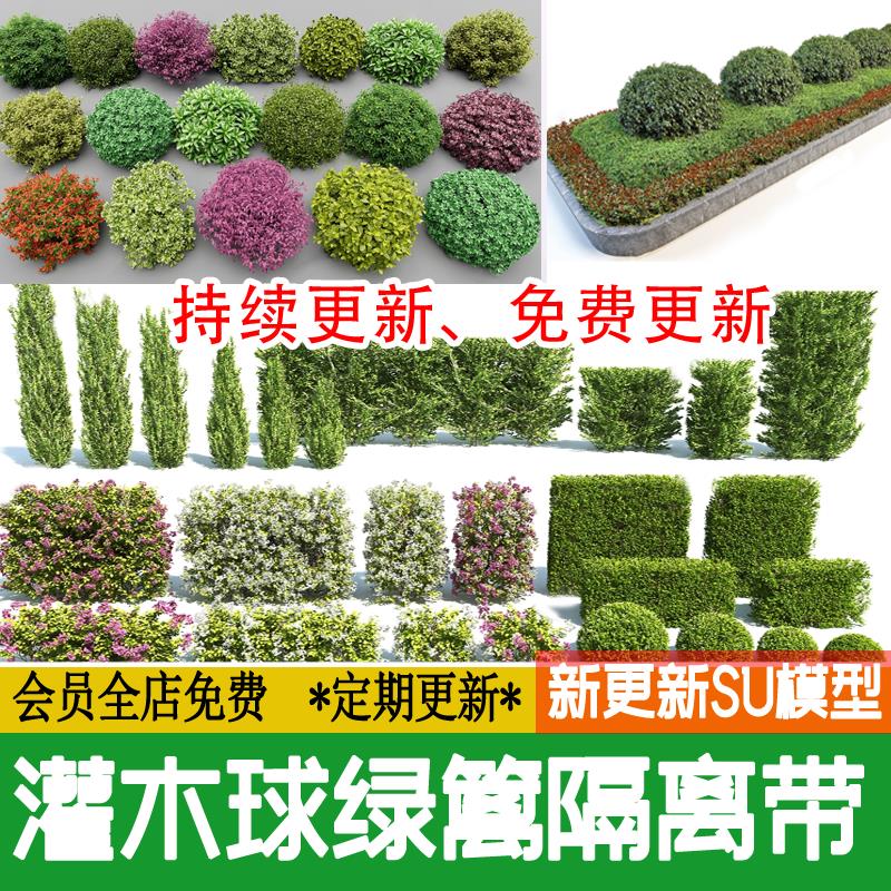 灌木球方形球形植物绿植花坛绿篱隔离绿化带灌木丛草图大师SU模型