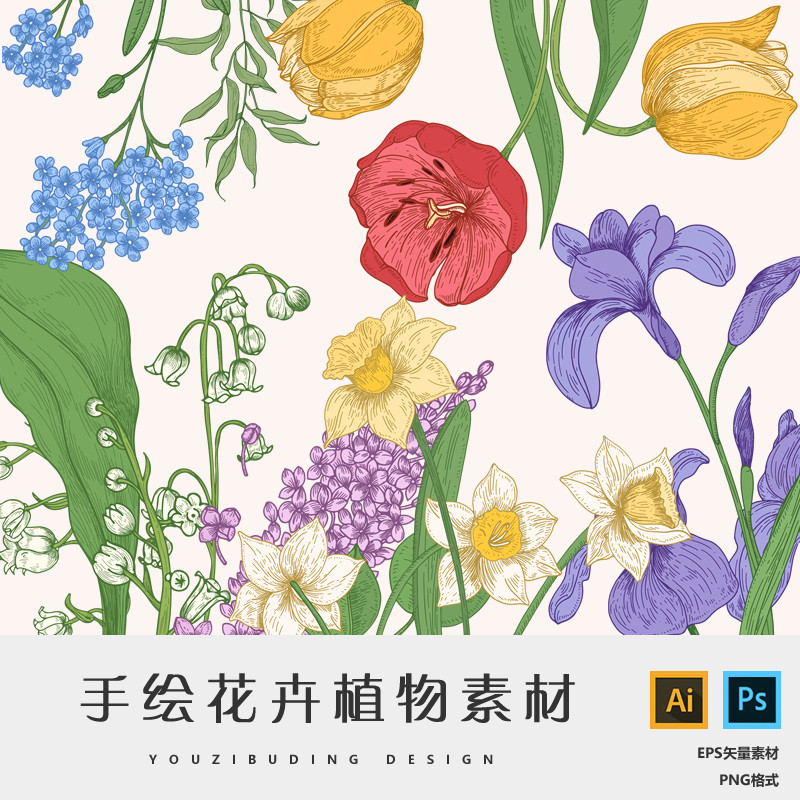 923清新复古手绘花卉植物花朵插图铃兰绣球水仙郁金香ai矢量素材