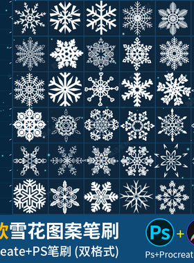 procreate笔刷ps笔刷冬季下雪飘雪雪花梦幻图案设计后期效果素材