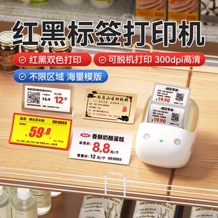 精臣B2Pro高清智能标签打印机小型食品服装合格证价签价格条形码二维码彩色不干胶贴纸热敏多功能商用标签机