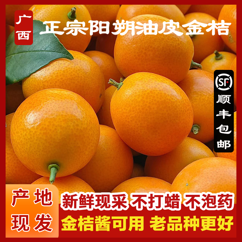 正宗广西阳朔油皮金桔鲜果直发