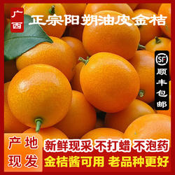 广西阳朔金桔油皮金桔鲜果直发正宗老品种麻皮金桔金桔酱顺丰包邮