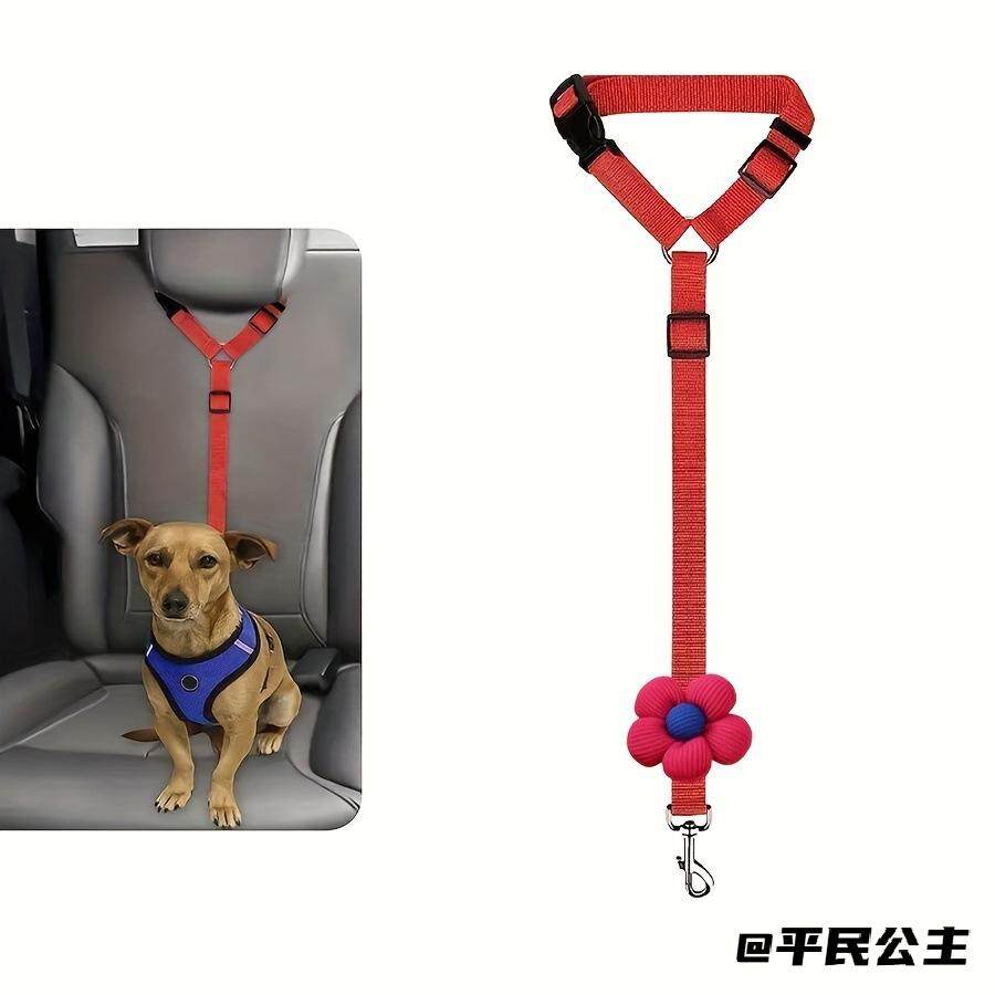 溜猫绳猫咪绳牵引带汽车安全扣狗绳宠物中小型犬安全牵引带拴狗,宠物/宠物食品及用品,猫牵引绳,淘宝优惠券,粉丝福利购,淘宝优惠卷