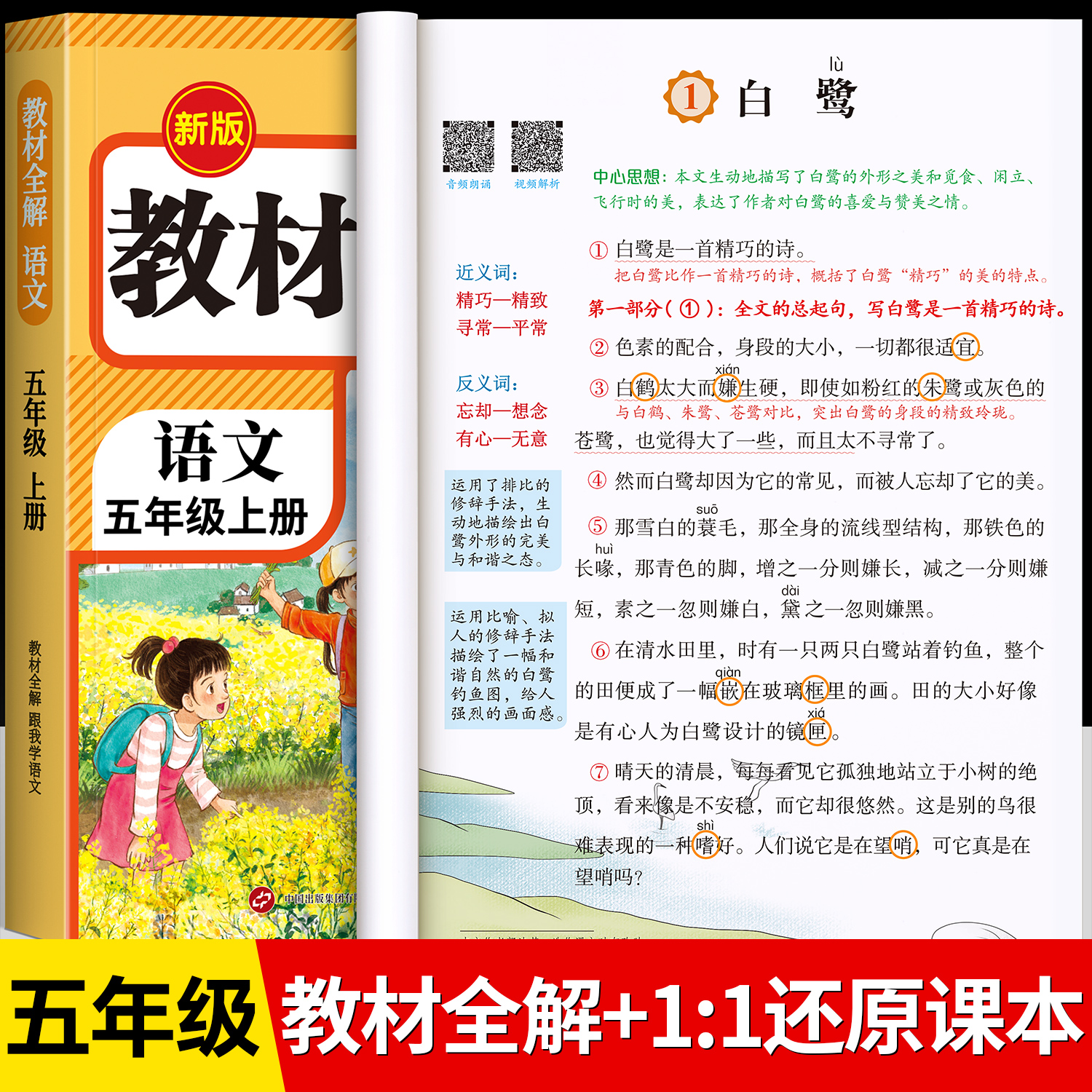 【2025新版】五年级上册课堂笔记