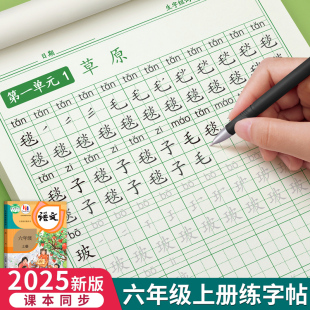 六年级上册下册练字帖同步字帖笔画笔顺小学生每日一练生字组词专用语文楷书钢笔硬笔书法初学者入门人教版 教材练习写字帖描红贴本