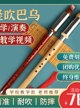 巴乌乐器小学生竖吹楠竹降BCGF调树脂红木儿童初学成人演奏旗舰店