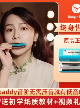 boogieman口琴布鲁斯十孔paddy蓝调口琴网10孔初学者入门园园同款