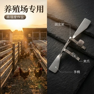 304不锈钢仔鸡用固定夹养殖场专用阉小鸡夹固定架高强度阉鸡工具
