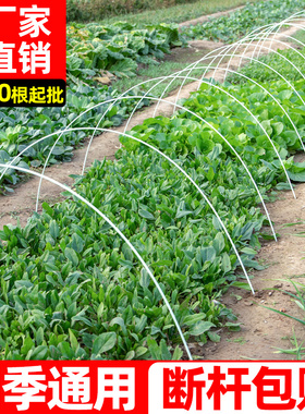 玻璃纤维拱棚支架大棚骨架保温棚拱杆花棚菜棚农用拱竿玻璃钢实心